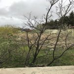 Satılır Torpaq, Novxanı, Abşeron rayonu 34