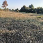 Satılır Torpaq Qəbələ 5