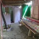 Kirayə (günlük) 2 otaqlı Həyət evi/villa Şamaxı 3