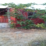 Satılır 1 otaqlı Bağ evi, Pirşağı qəs., Sabunçu rayonu 10