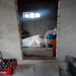 Satılır 6 otaqlı Həyət evi/villa Xırdalan 25