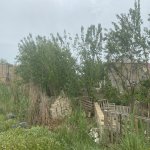 Продажа Участок, пос. Локбатан, 28 Малл, Гарадаг район 18