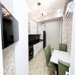 Kirayə (aylıq) 3 otaqlı Yeni Tikili, 28 May metrosu, Nəsimi rayonu 17