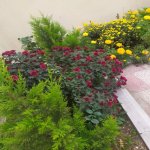 Satılır 6 otaqlı Həyət evi/villa, Köhnə Günəşli qəs., Xətai rayonu 5