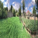 Продажа Участок, пос. Маштага, Сабунчу район 5