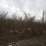Satılır 5 otaqlı Həyət evi/villa Xaçmaz 5