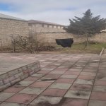 Satılır 4 otaqlı Həyət evi/villa, Buzovna, Xəzər rayonu 3