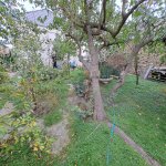 Satılır 3 otaqlı Həyət evi/villa, Bülbülə qəs., Suraxanı rayonu 6
