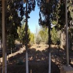 Satılır Torpaq, Mərdəkan, Xəzər rayonu 10