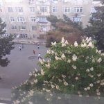 Kirayə (aylıq) 2 otaqlı Köhnə Tikili, 4-cü mikrorayon, Nəsimi rayonu 1