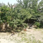 Продажа 3 комнат Дома/Виллы, Хокмяли, Абшерон район 5