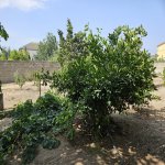 Kirayə (aylıq) 5 otaqlı Bağ evi, Mərdəkan, Xəzər rayonu 3