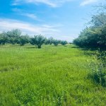 Продажа Участок Гябяля 12