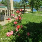 Kirayə (günlük) 5 otaqlı Həyət evi/villa Qəbələ 7
