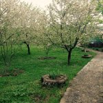 Kirayə (günlük) 3 otaqlı Həyət evi/villa Quba 10