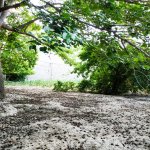 Satılır Torpaq, Əhmədli metrosu, kənd Əhmədli, Xətai rayonu 1