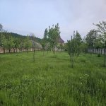 Satılır Torpaq Qəbələ 8