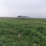Satılır 5 otaqlı Bağ evi Şamaxı 2