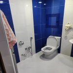 Kirayə (aylıq) 5 otaqlı Yeni Tikili, Gənclik metrosu, Nəsimi rayonu 14