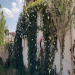 Satılır 6 otaqlı Həyət evi/villa, Mərdəkan, Xəzər rayonu 12