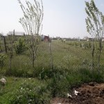 Satılır Torpaq Quba 2