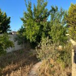 Satılır 5 otaqlı Bağ evi, Goradil, Abşeron rayonu 4