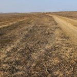 Продажа Участок, Мехдиабад, Абшерон район 5