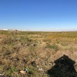Satılır Torpaq, Hökməli, Abşeron rayonu 4