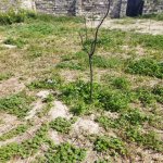 Satılır Torpaq, Digah, Abşeron rayonu 3