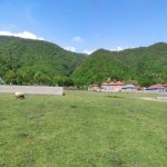 Satılır Torpaq Qəbələ 3