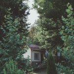 Kirayə (günlük) 1 otaqlı Həyət evi/villa Qusar 3