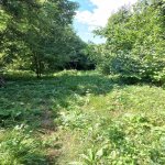 Продажа Участок Исмаиллы 4