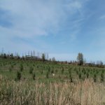 Продажа Участок Хачмаз 75