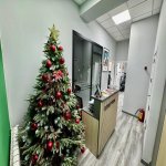 Kirayə (aylıq) 3 otaqlı Ofis, 8 Noyabr metrosu, Nərimanov rayonu 15