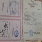 Satılır Torpaq, Novxanı, Abşeron rayonu 4