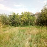 Satılır 3 otaqlı Bağ evi, Ceyranbatan qəs., Abşeron rayonu 7