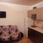 Satılır 3 otaqlı Həyət evi/villa Şamaxı 14