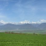 Satılır Torpaq İsmayıllı 1