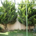 Satılır 5 otaqlı Bağ evi, Buzovna, Xəzər rayonu 14