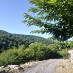 Kirayə (günlük) 2 otaqlı Həyət evi/villa Zaqatala 15