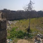 Satılır Torpaq, Maştağa qəs., Sabunçu rayonu 3