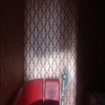 Satılır 3 otaqlı Həyət evi/villa, Azadlıq metrosu, Binəqədi qəs., Binəqədi rayonu 5