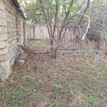 Satılır Torpaq, Novxanı, Abşeron rayonu 4