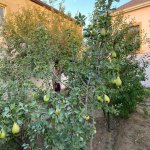 Satılır 4 otaqlı Həyət evi/villa, Buzovna, Xəzər rayonu 3