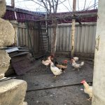 Satılır 4 otaqlı Həyət evi/villa, Yasamal rayonu 8