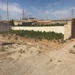 Satılır Obyekt, Qobu, Abşeron rayonu 3