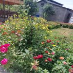 Kirayə (günlük) 3 otaqlı Bağ evi İsmayıllı 1