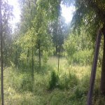 Satılır 3 otaqlı Bağ evi Şamaxı 4