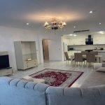 Kirayə (aylıq) 3 otaqlı Yeni Tikili, 28 May metrosu, Nəsimi rayonu 5