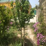 Продажа 4 комнат Дома/Виллы, м. Короглу метро, пос. Маштага, Сабунчу район 10